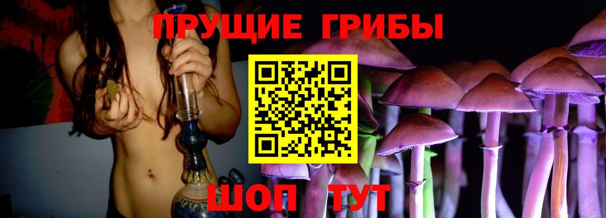 Галлюциногенные грибы мицелий  наркошоп  Новозыбков  Вход с VPN 