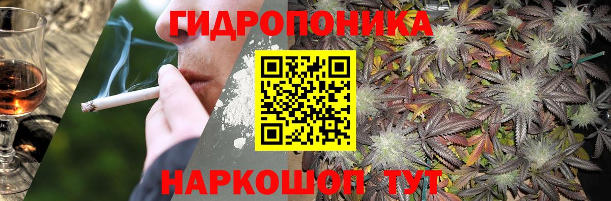 Марихуана SATIVA & INDICA Новозыбков