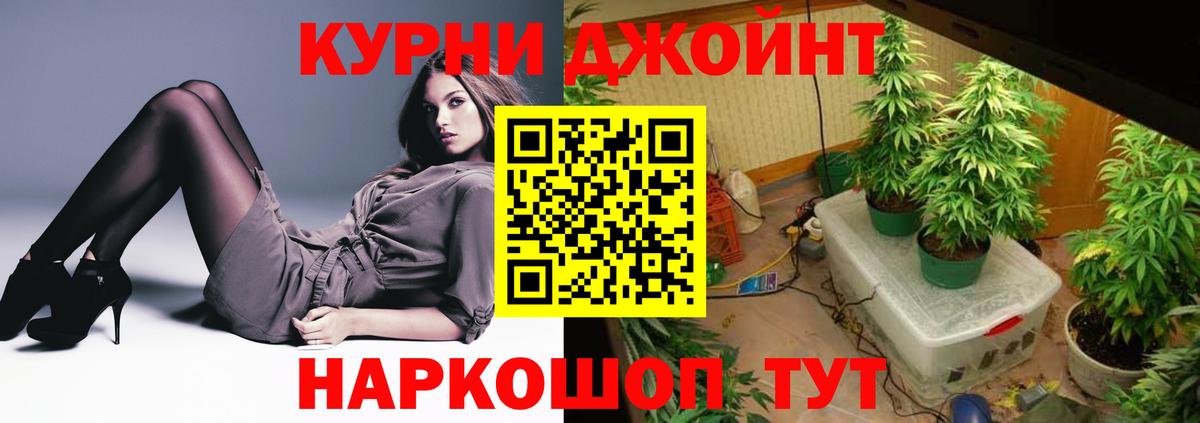 Новозыбков  Шишки марихуана THC 21%  Марихуана VHQ  Бошки Шишки тримм  Вход с VPN  Шишки марихуана марихуана 